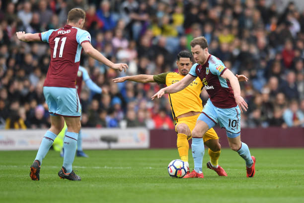 运动基因和 运动基因和